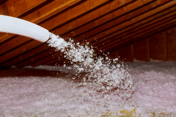 Best Spray Foam Insulation in Fort Thompson, SD