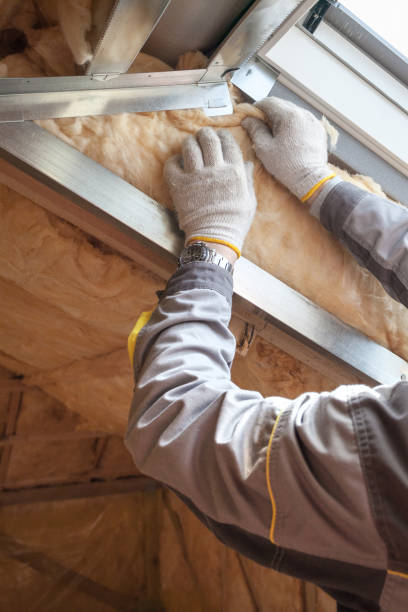 Best Eco-Friendly Insulation in Fort Thompson, SD