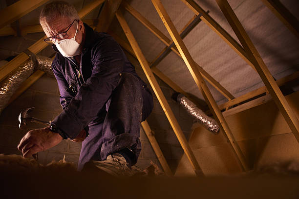 Best Cellulose Insulation in Fort Thompson, SD