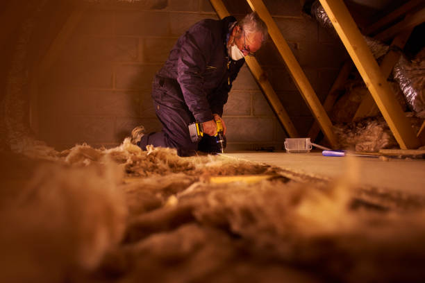 Best Geographic-Specific Insulation Services in Fort Thompson, SD